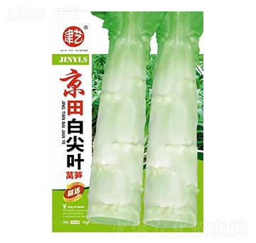 �n�S�N��-����׼��~-���S�r(n��ng)�I(y��)