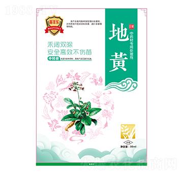 ���S��ˎ�Č���̎�턩-���S��-�瘷���r�I(y��)