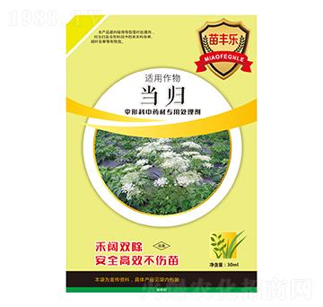 ���w���ο���ˎ�Č���̎�턩-���S��-�瘷���r�I(y��)