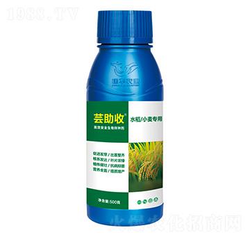 水稻小麥專用高效生物拌種劑-蕓助收-建華農(nóng)業(yè)