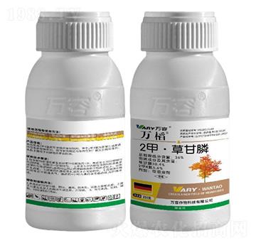 36%2�ס��ݸ��-�f�w-�f��