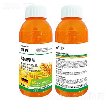 10%���׻�¡-����-�f(w��n)��