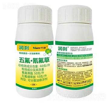 60��/������������300��-���x-�f��