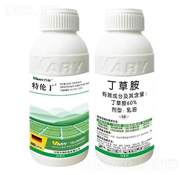 60%���ݰ�-�؂���-�f��