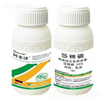 30%ɯ����-���׽�-�f��