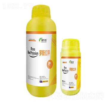 羅斯紅鉀-韶華美