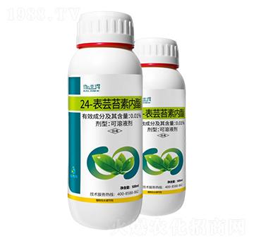 0.01%24-表蕓苔素內(nèi)酯-韶華美