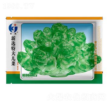 ���x�ش󃺲�-�ƹ�N��