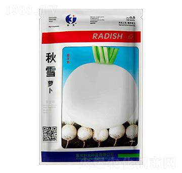 ��ѩ�}��-�ƹ�N��