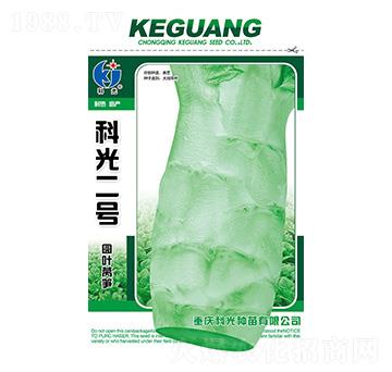 �ƹ��̖-�ƹ�N��