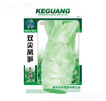 �p���n�S-�ƹ�N��