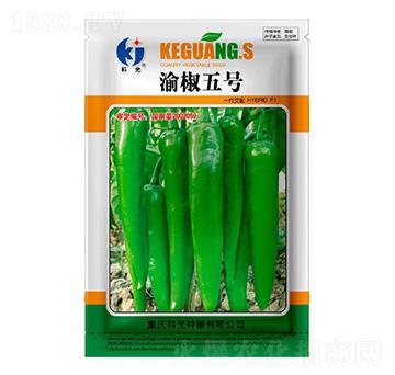 �彷5̖(h��o)-�ƹ�N��