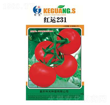 �t�\(y��n)231-�ƹ�N��