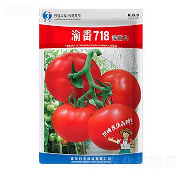 �巬718-�ƹ�N��