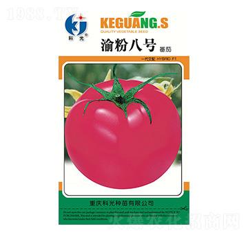 ���8̖(h��o)-�ƹ�N��