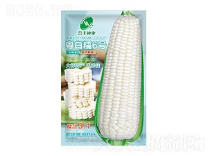 ����Ŵ6̖(h��o)-���S�N�I(y��)