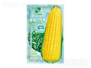 ����29ˮ������-���S�N�I(y��)