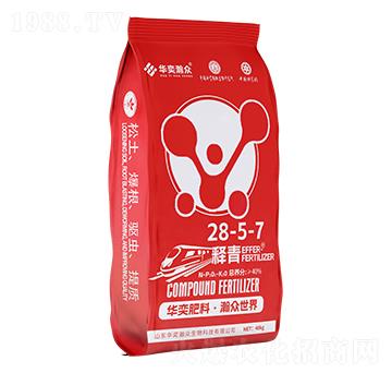 釋青25-5-7-華奕瀚眾