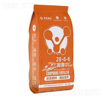 釋青28-6-6-華奕瀚眾