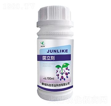 ������-��(chu��ng)�|�z-�ĳǿƄ�(chu��ng)