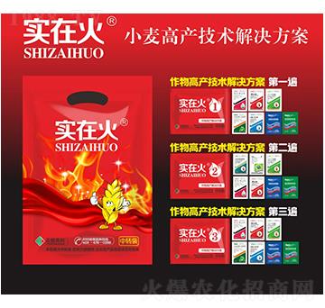小麥高產(chǎn)技術(shù)解決方案-實(shí)在火-紅太陽