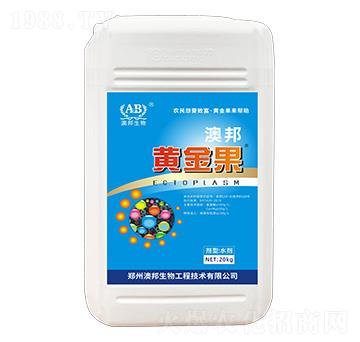 黃金果-澳邦生物