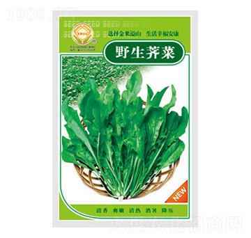 �j�˷N��-Ұ���j��-̫��(l��)�N�I(y��)