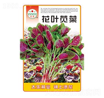 �{�˷N��-���~�{��-̫��(l��)�N�I(y��)