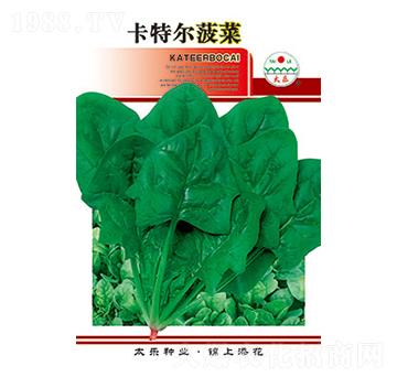 ���˷N��-���ؠ�����-̫��(l��)�N�I(y��)