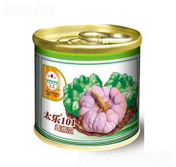 �����ϷN��-̫��101-̫���N�I(y��)