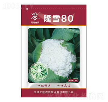 ¡ѩ80-��¡����-��¡�r(n��ng)�I(y��)