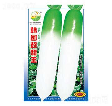 �}���N��-�n��(gu��)������-̫��(l��)�N�I(y��)