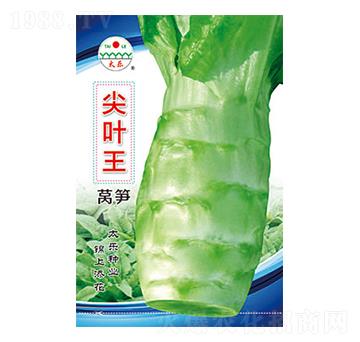 �n�S�N��-���~��-̫��(l��)�N�I(y��)