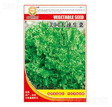 ���˷N��-����(gu��)��������-̫��(l��)�N�I(y��)