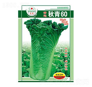 �ײ˷N��-����60-̫��(l��)�N�I(y��)