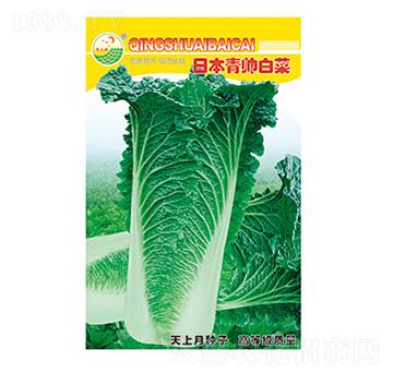 �ײ˷N��-�ձ������ײ�-̫��(l��)�N�I(y��)