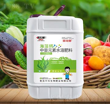 海藻鈣-田動脈-中爍生物