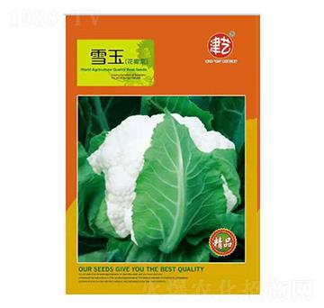 ���˷N��-ѩ��-���S�r(n��ng)�I(y��)