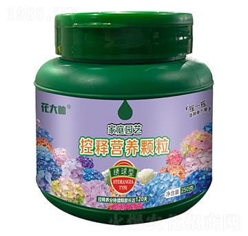 �C���ͼ�ͥ�@ˇ��ጠI�B(y��ng)�w��-����-�G�ַʘI(y��)