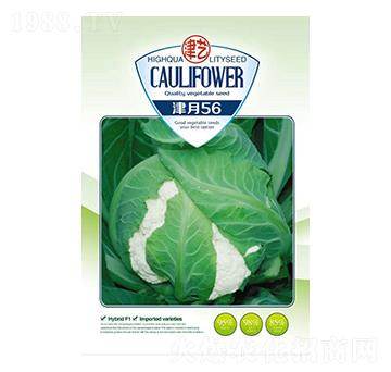 ���˷N��-����56-���S�r(n��ng)�I(y��)