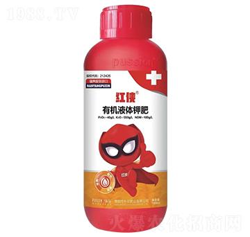 紅俠―落黃快等級(jí)高-樸欣肥業(yè)