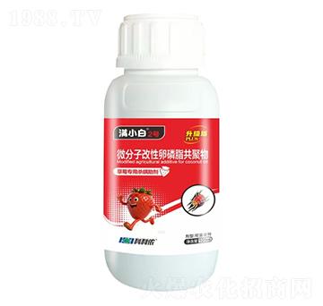 草莓專用殺螨助劑-滿小白2號-科利農(nóng)