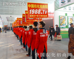 1988.TV�����ˆT�����w�P���������