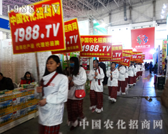 2015�ӱ�ֲ�����r���˲��ŗ���������