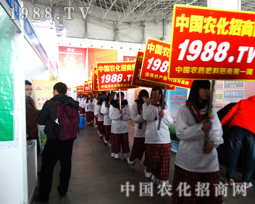 �r������2015�����ֲ����������ֱǰ