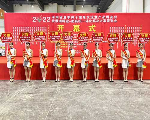 �����]�����Ĵ������������L(f��ng)�ɱM�@��