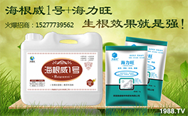 ��Ӣ���W�ʩ��ף���g�gϲϲӭ�i�����f������ƽ������