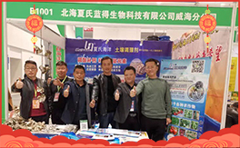 �����������{(l��n)�á���ף���Ͽ͑������д��\(y��n)��ؔ(c��i)Դ�L�L���������³ɣ�