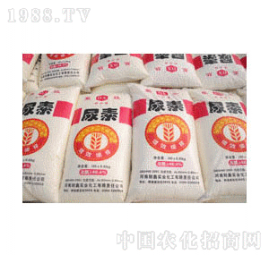 ؔ(c��i)�Ρ����d�ơ���������