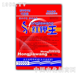 �W�P-�t���